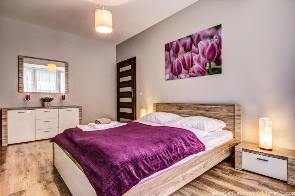Apartamenty Oaza Deluxe Zakopane Dış mekan fotoğraf